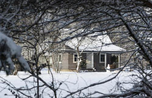 Lipowy Zakątek to miejsce bez gospodarzy i na wyłączność - Foto 22