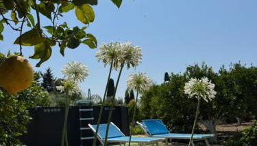 Villa Ammaliante - Foto 5