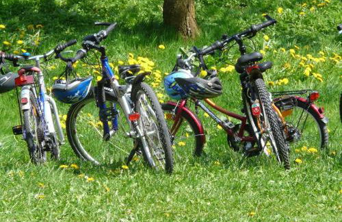 Rural Escape and Dog Friendly - Photo 30