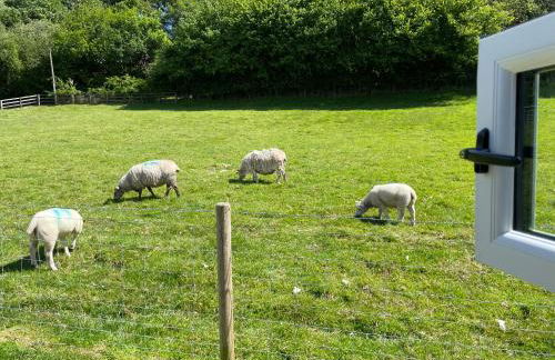 Hoarthorns Hideaway Forest of Dean - Foto 8