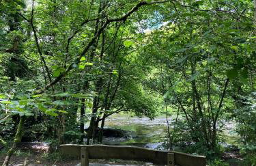 Ashdene Cottage with secure 'sun trap' garden - Foto 28