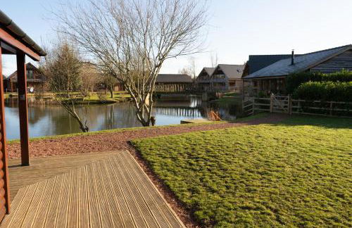 The Green Monkey - Foto 32