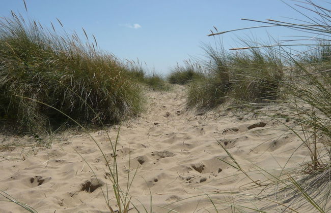 Spacious Cottage With Sauna Looking out on Astonishing Grasslands - Photo 59