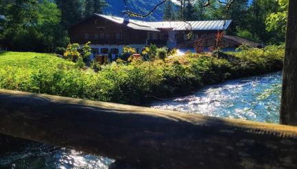 Gästehaus Waldrast - Foto 5