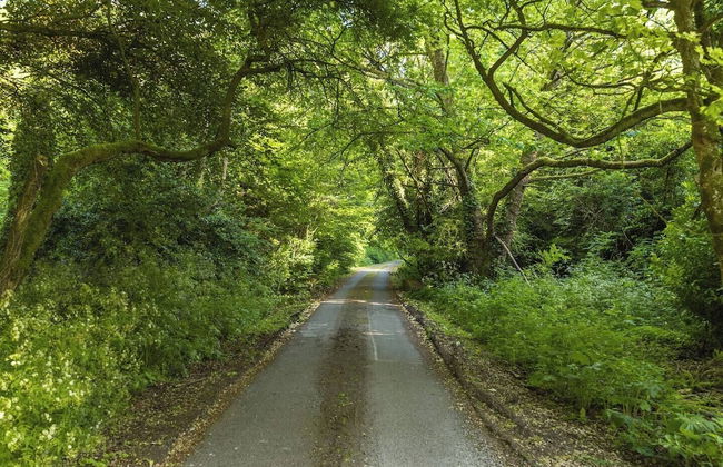 The Coach House at Moyglare Manor - Foto 50