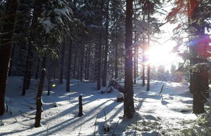 Ferienwohnung Wolf - Photo 20