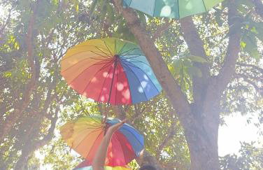 Ananda Multiverse Evolve 15' from the Botanical Garden - Foto 58