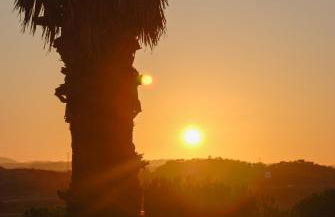 Quinta do Vale Lemontree Nest - Foto 22