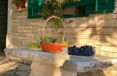 Stone Holiday Homes Stankovci with pool and Mediterranean gardens - Foto 48