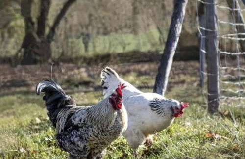 Studio de la Peyriere - Foto 17