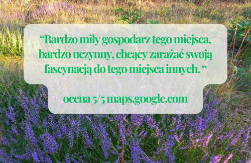 Widny Jaś zaprasza z psem nad jezioro na Kaszubach - Foto 30