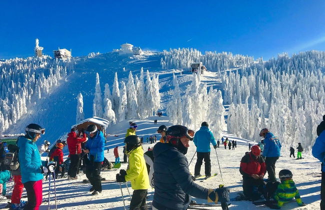 Villa Cristiani - Foto 20