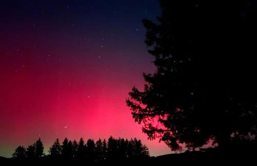 Ferienwohnung am Hirschenmoor - Foto 33