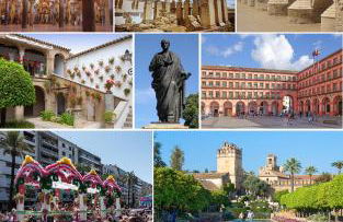 Villa ALJARAL, Espectacular,piscina,chimenea, climatización, wifi - Foto 72