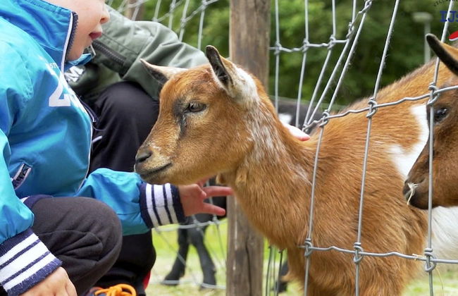 Detached Holiday Home With Jetty Near Hoorn - Foto 15