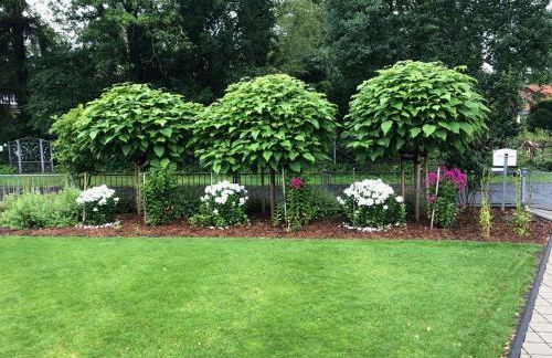 FeWo Im Grünen - Foto 10