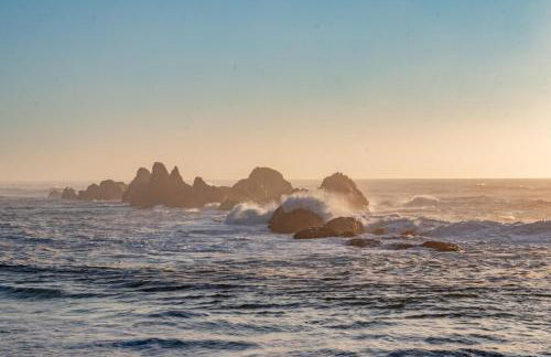 Miss Olena - Foto 64