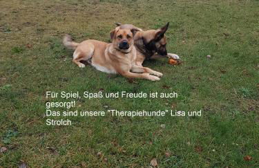 Ferien Mecklenburgische Seenplatte, Urlaub auf dem Gutshof Bossow - Foto 46