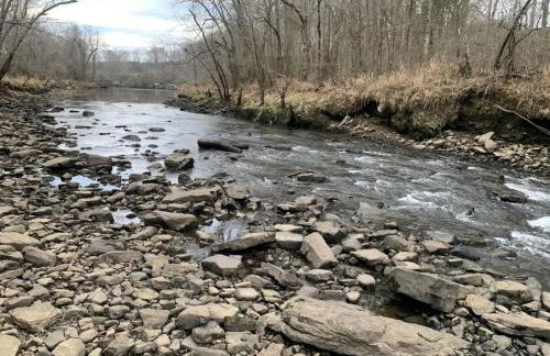 Riverbend Serenity Cabins - Foto 103