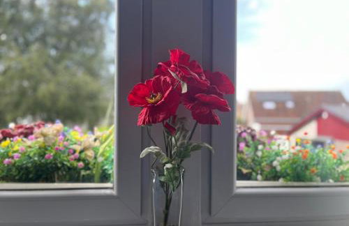 Entire Budget Friendly Apartment with Free Parking & Self Check-In - Photo 8