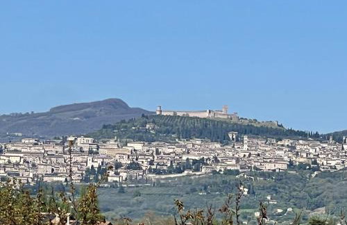 Villa Giulia apartment Assisi - Foto 37