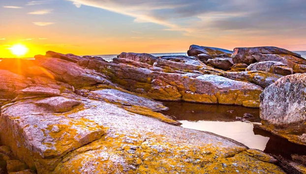 4 Person Holiday Home in Svaneke - Foto 4, Varie