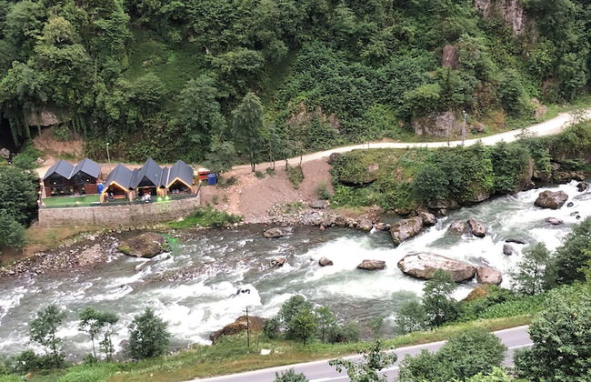 Walnut Bungalow - Foto 35