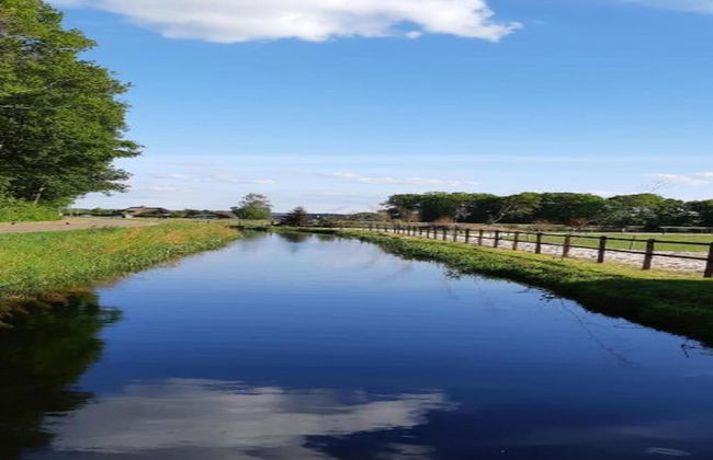 Holiday Home in Arrien Near Beerze Nature - Foto 28