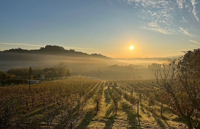Tenuta Sovestro - Agriturismo e Winery - Foto 78