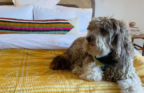 Onu Vibrant Light Filled Onu Suite at La Dea - Foto 30