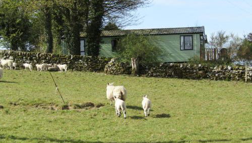 Barnkirk Holidays - Foto 2