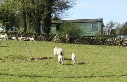 Barnkirk Holidays - Foto 2