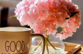 ClemsonILakesideIParkPassIPizzaOvenlYouTubeTVlFirePit - Foto 31