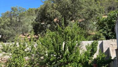 Casa Rural Las Nogueras - Foto 4, Garden