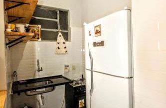 Capivara Urbana - Foto 11