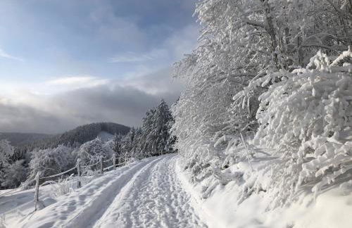 Ferienhaus Küstelnest - Foto 38