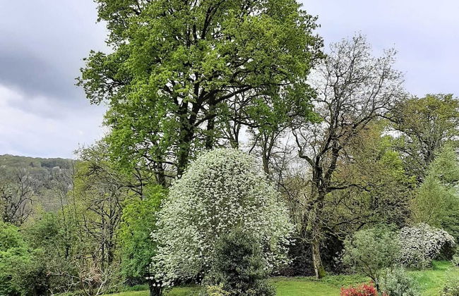 Holiday Home in Haute-vienne Near Nature Park - Foto 26