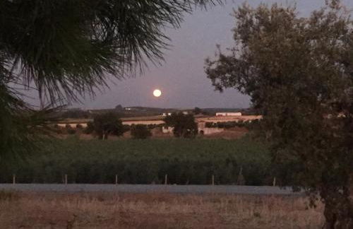 Monte Capitão Country house - Foto 35