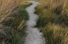 Chez Emile - Foto 26