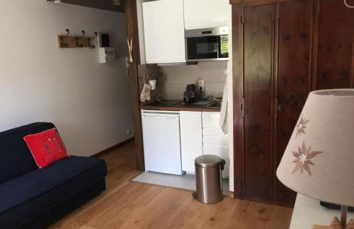 Studio au calme avec jardin et vue Mont-Blanc - Foto 5