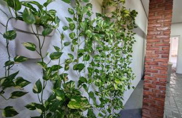 Apartamento completo em Tangará - Foto 14