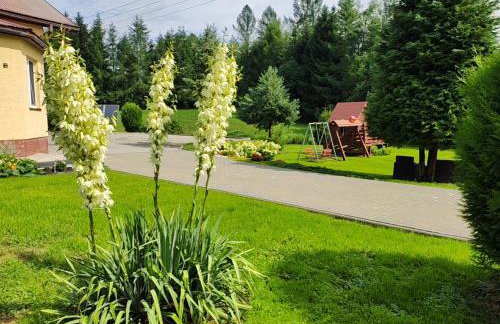 Agrokrysia - Foto 37