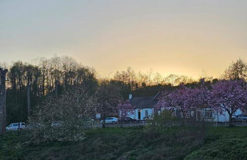 Your Home from Home - River bank - Foto 19