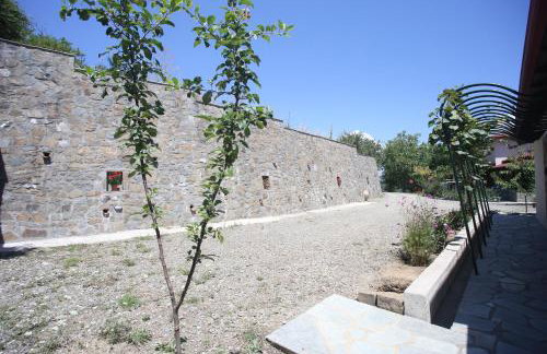 Morchella MushROOM - Foto 19