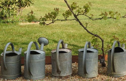 Château de Montbrault - Foto 46