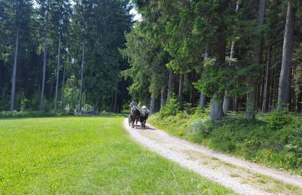 Appartement Rehblick - Foto 62