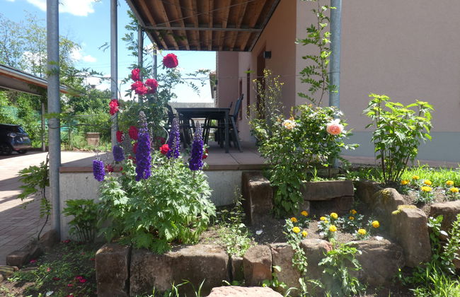 4 bedroom Apartment in Fischbach bei Dahn with garden and terrace - Photo 28