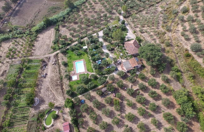 La Gabbianella e il Gatto - Foto 31