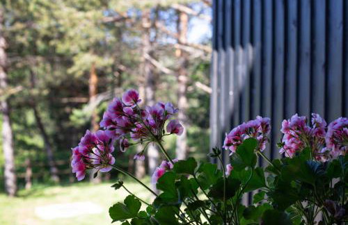 Timber valley - Foto 65