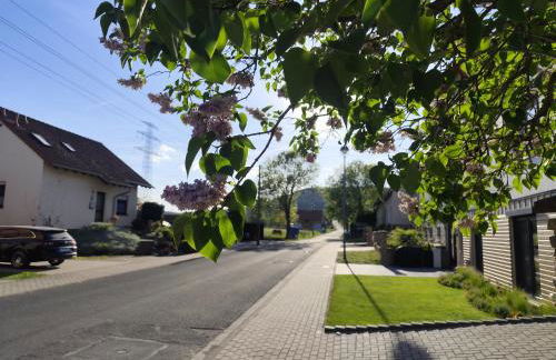 Ferienwohnung Gutzeit - Photo 17